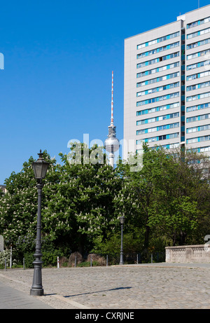 Immeuble de grande hauteur à côté de la tour de télévision de Berlin, Berlin, Germany, Europe Banque D'Images