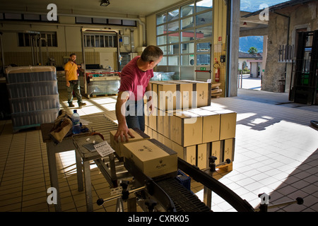 L'Italie, la Lombardie, la Valtellina, Chiuro, Casa Vinicola Nino Negri, Nino Negri vinery, l'embouteillage Banque D'Images