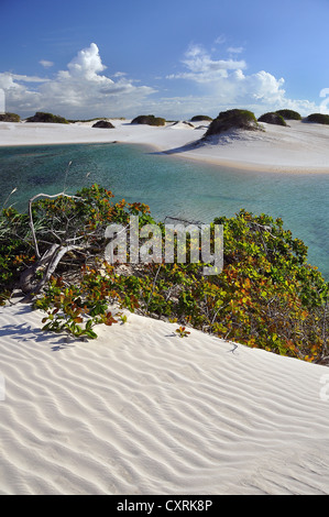 Blue Lagoon au Brésil "le seul désert Lençóis Maranhenses', Maranhão, Brésil, Amérique du Sud Banque D'Images