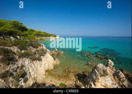 Littoral, Kavourotypes Beach sur la péninsule de Sithonia, Halkidiki, Grèce, Europe Banque D'Images