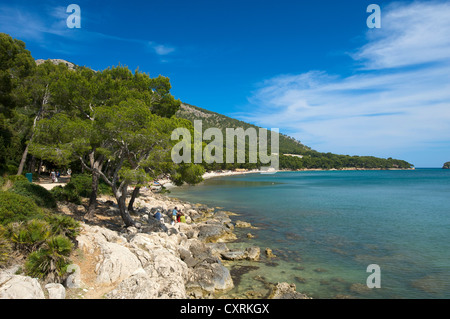 Plage, Playa de Formentor, Cala Pi de la posada, Mallorca, Majorque, Îles Baléares, Espagne, Europe Banque D'Images