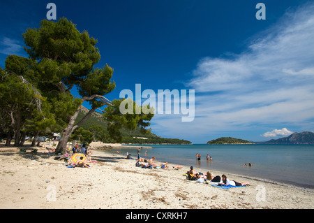 Plage, Playa de Formentor, Cala Pi de la posada, Mallorca, Majorque, Îles Baléares, Espagne, Europe Banque D'Images