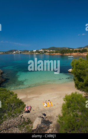 Punta Negra, Palma Nova, Costa d'en Blanes, Mallorca, Majorque, Îles Baléares, Espagne, Europe Banque D'Images