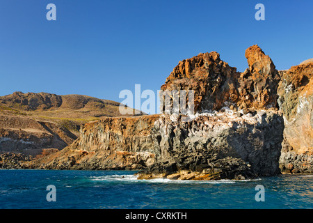 Les falaises volcaniques, les couches rocheuses sur la côte, l'île de San Benedicto, près de Socorro, Îles Revillagigedo, archipel, Mexique Banque D'Images