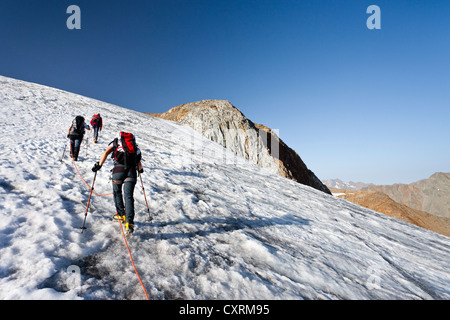 Les randonneurs lors de l'ascension de Similaun Montagne sur glacier Niederjochferner dans Senales Valley, Alto Adige, Italie, Europe Banque D'Images