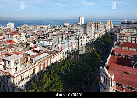 Prado, Paseo de Marti, boulevard bordé d'arbres, vue panoramique sur les toits de La Havane, Villa San Cristobal de La Habana Banque D'Images
