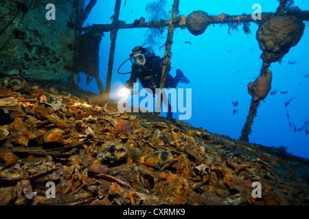 Plongée sous marine à la recherche à l'os dans l'espace de chargement, l'épave du Zenobia, Chypre, Asie, Europe, Méditerranée Banque D'Images