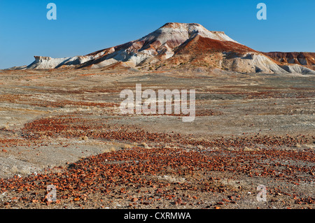 Couleurs du Painted Desert. Banque D'Images