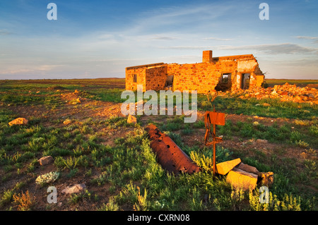 Ruines de Warrina Siding au soleil du soir. Banque D'Images