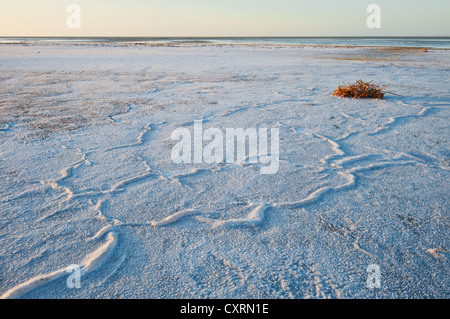 Croûte de sel du lac Eyre formant motifs. Banque D'Images