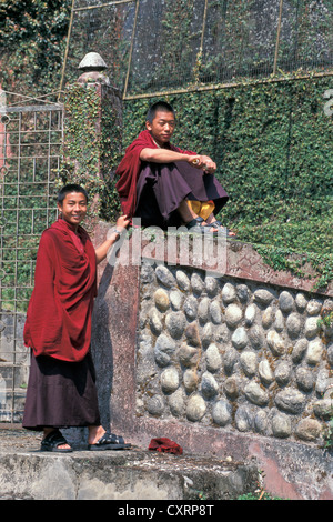 Jeunes moines au monastère de Rumtek Dharma Chakra ou centre, le bouddhisme tibétain, ligne Karma Kagyu, près de Gangtok, Sikkim Banque D'Images