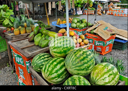 Vendeur de fruits de la rue, entre Monte Verde et San José, Alajuela Province, Costa Rica, Amérique Centrale Banque D'Images