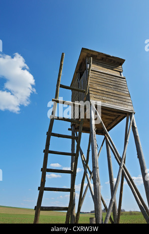 Hunters' deer stand, près de Munich, Bavaria, Germany, Europe Banque D'Images