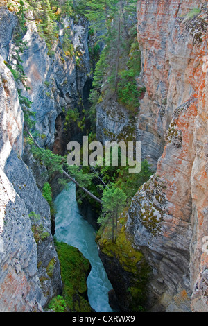 Maligne Canyon avec la rivière Maligne à la section la plus profonde dans le parc national Jasper, Alberta. Banque D'Images