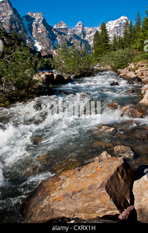 Flux depuis le lac Moraine dans la vallée des Dix-Pics, dans le parc national Banff, Alberta Banque D'Images