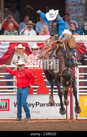 Le Stampede de Calgary 2012, 100e anniversaire, la compétition annuelle de la monte à cheval Banque D'Images