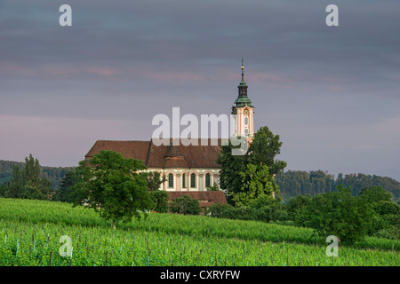 L'église de pèlerinage Baroque de Birnau, sur le lac de Constance, lumière du soir, de la vigne à l'avant, région du lac de Constance Banque D'Images