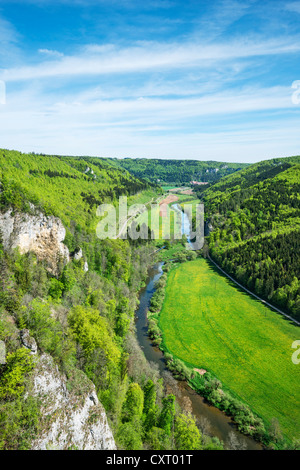 Vue sur la vallée du Danube supérieur vu de Knopfmacherfelsen rock, Bade-Wurtemberg, Allemagne, Europe Banque D'Images