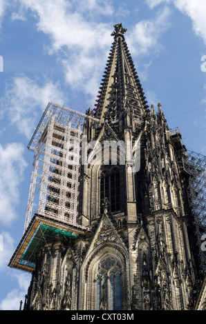 Échafaudage suspendu pour travaux de rénovation sur les près de 158 mètres de haut de la tour nord de la cathédrale de Cologne, Cologne Banque D'Images