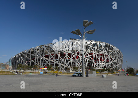 Stade olympique de Pékin, le Stade National, 'nid d'oiseau', le parc olympique, le Parc Olympique, Beijing, China, Asia Banque D'Images