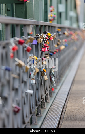 Cadenas d'amour, Eiserner Steg passerelle, Frankfurt am Main, Hesse, Germany, Europe, PublicGround Banque D'Images