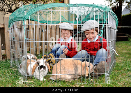 Des jumeaux, 4, portant des bouchons plats, assis côte à côte avec des lapins dans une cage dans le jardin Banque D'Images