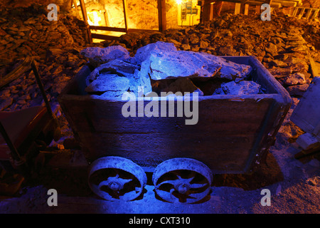 Mine de sel, aux Salzwelten Altaussee, Ausseer Land, région du Salzkammergut, Styrie, Autriche, Europe Banque D'Images