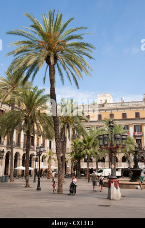 Placa Reial, Barri Gotic ou Quartier Gothique, le quartier historique, Barcelone, Catalogne, Espagne, Europe Banque D'Images