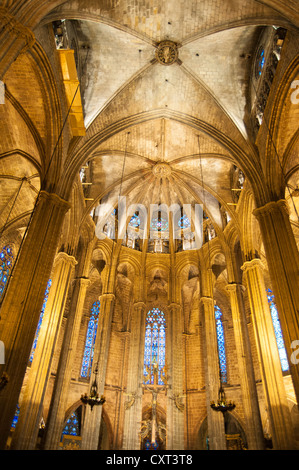 La Cathédrale de Barcelone, une cathédrale gothique, le Pla de la Seu, Barri Gotic ou quartier gothique, Barcelone, Catalogne, Espagne, Europe Banque D'Images