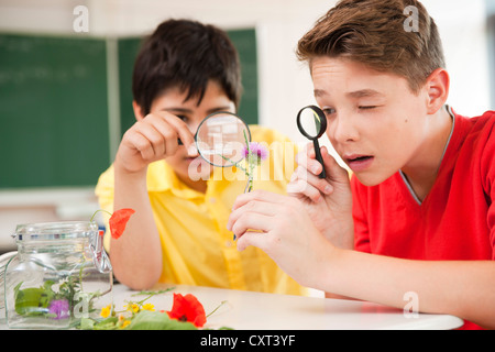 Les élèves qui étudient les plantes pendant un cours de biologie Banque D'Images