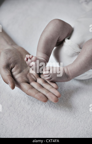 Pieds d'un bébé nouveau-né sur sa main du père Banque D'Images