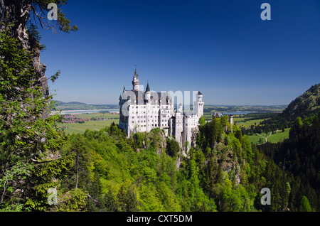 Schloss Neuschwanstein, Hohenschwangau près de Füssen, Alpes bavaroises, Allgaeu, Bavaria, Germany, Europe Banque D'Images