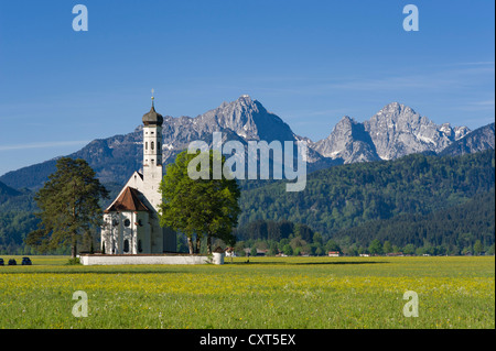 Église de pèlerinage de Saint Coloman et château Le château de Neuschwanstein, Hohenschwangau près de Füssen, Alpes bavaroises, Allgaeu Banque D'Images