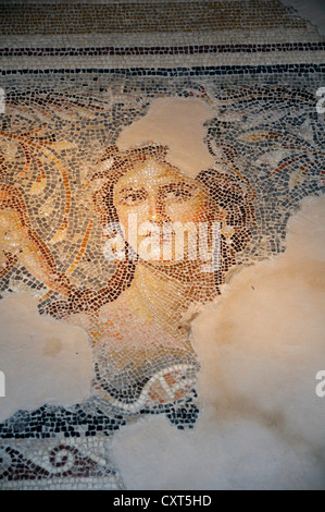 Mosaïque, Mona Lisa de Galilée, Zippori National Park, Israël, Moyen Orient Banque D'Images