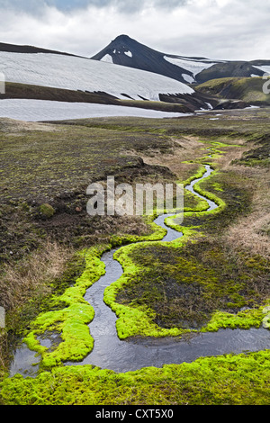 Un ruisseau sinueux, entouré de mousse vert vif, au-dessous de Krakatindur, La Montagne de la Réserve Naturelle de Fjallabak, hautes terres d'Islande Banque D'Images