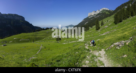 Schrennenweg sentier de randonnée, plage de l'Alpstein, Canton de St Gallen, Suisse, Europe Banque D'Images