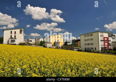 Ville solaire, un quartier résidentiel de Ulm, Bade-Wurtemberg, Allemagne, Europe, PublicGround Banque D'Images