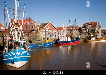 Les bateaux de pêche et bateaux de crevettes dans le vieux port de pêche de Neuharlingersiel, Frise orientale, Basse-Saxe, Allemagne Banque D'Images