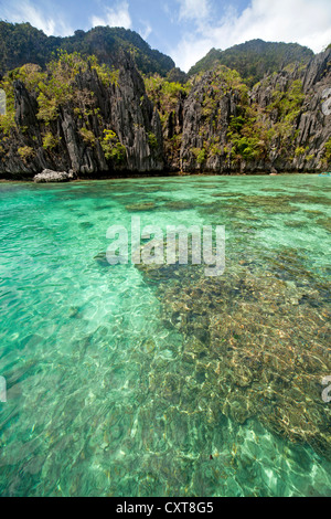 Les coraux et les falaises calcaires dans la petite lagune de docks de Miniloc Island, El Nido, Palawan, Philippines, Asie Banque D'Images