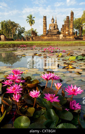 Red Water Lilies (Nymphæa rubra) dans un étang en face d'une statue de Bouddha assis, temple Wat Mahathat Sukhothai Historical Park Banque D'Images