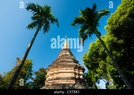 Chedi ou pagode, Wat Umong Maha Thera Chan, Chiang Mai, Thaïlande du Nord, Thaïlande, Asie Banque D'Images