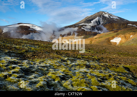 Moss, hot springs et les montagnes de rhyolite, Hveradallir Kerlingarfjoell, région haute température, Highlands, l'Islande Banque D'Images