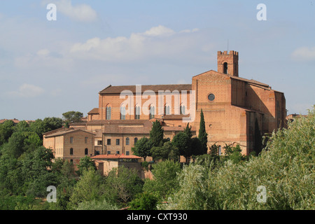 Basilique San Domenico, Sienne, Toscane, Italie, Europe Banque D'Images