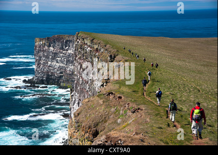 Groupe de trekking sur l'oiseau, les falaises de Látrabjarg Westfjords, Islande, Europe Banque D'Images