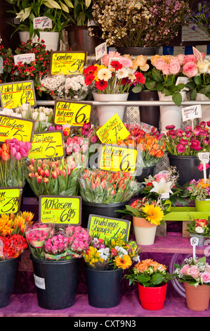 Avec des fleurs : signes, flower stall, Munich, Haute-Bavière, Bavaria, PublicGround Banque D'Images