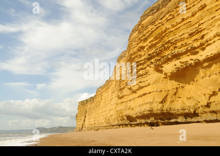 Falaises de grès de plage Burton Burton Bradstock côte jurassique Dorset Angleterre Banque D'Images