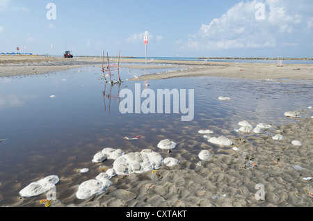 Pollutiion sur Tel Aviv beach à cause de débordement des eaux usées. Tel Aviv. Israël. Banque D'Images