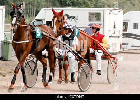 Avant course à Rambouillet Hippodrome Banque D'Images