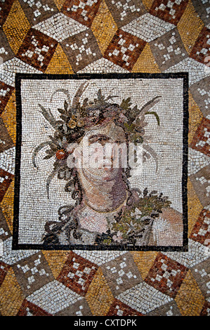 Partie d'un sol en mosaïque Villa Daphne à près d'Antioche Antakya Turquie 2ème siècle A.D. Roman de pierres naturelles, verre 226 X 251 cm Banque D'Images