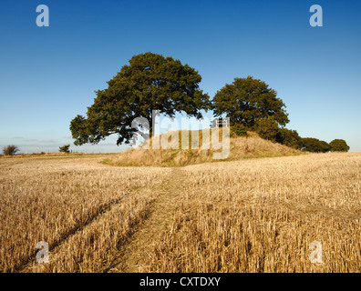 Le Appledore Round Barrow, tumulus funéraire. Banque D'Images